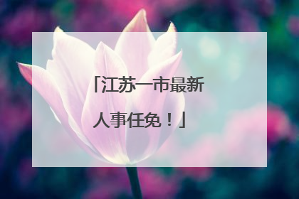 江苏一市最新人事任免！