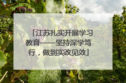 江苏扎实开展学习教育——坚持深学笃行，做到实改见效