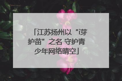 江苏扬州以“i芽护苗”之名 守护青少年网络晴空