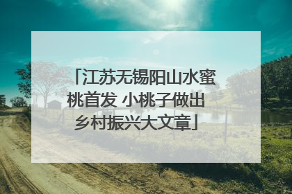 江苏无锡阳山水蜜桃首发 小桃子做出乡村振兴大文章