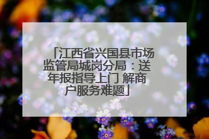 江西省兴国县市场监管局城岗分局：送年报指导上门 解商户服务难题