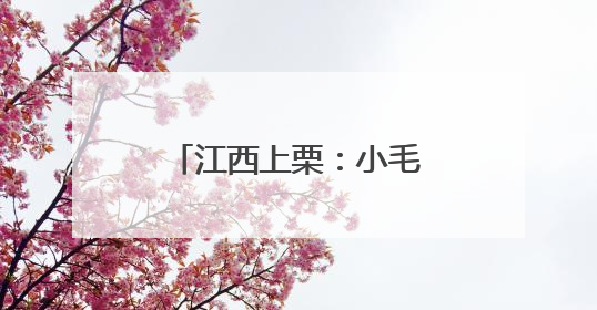 江西上栗：小毛豆变“增收豆”