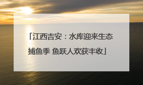 江西吉安：水库迎来生态捕鱼季 鱼跃人欢获丰收