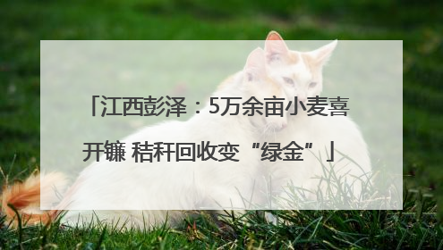 江西彭泽:5万余亩小麦喜开镰 秸秆回收变“绿金”