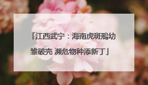 江西武宁：海南虎斑鳽幼雏破壳 濒危物种添新丁