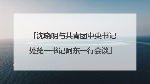 沈晓明与共青团中央书记处第一书记阿东一行会谈