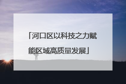 河口区以科技之力赋能区域高质量发展
