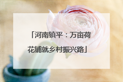 河南镇平：万亩荷花铺就乡村振兴路