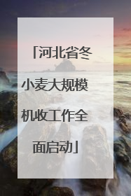 河北省冬小麦大规模机收工作全面启动