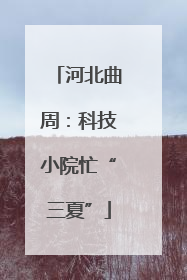 河北曲周：科技小院忙“三夏”