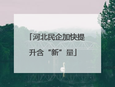 河北民企加快提升含“新”量