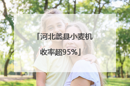 河北蠡县小麦机收率超95%