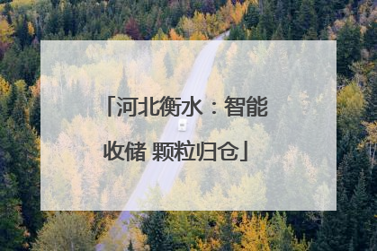 河北衡水：智能收储 颗粒归仓