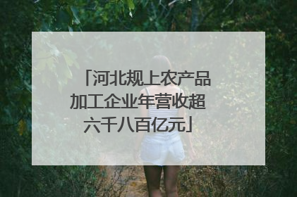 河北规上农产品加工企业年营收超六千八百亿元