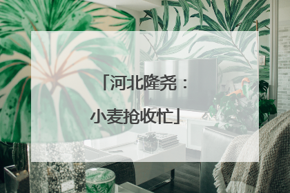 河北隆尧：小麦抢收忙