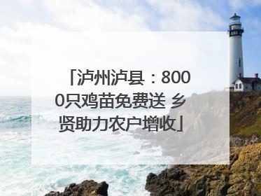 泸州泸县：8000只鸡苗免费送 乡贤助力农户增收