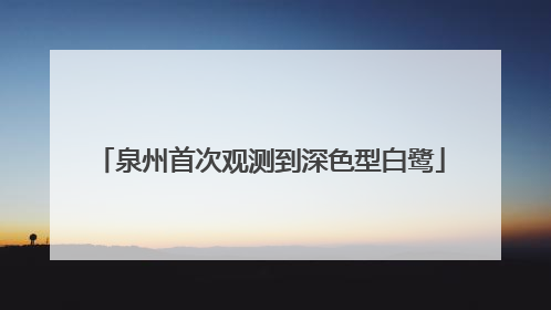 泉州首次观测到深色型白鹭