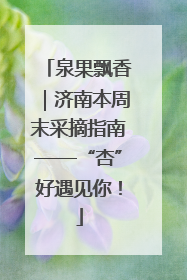 泉果飘香｜济南本周末采摘指南——“杏”好遇见你！