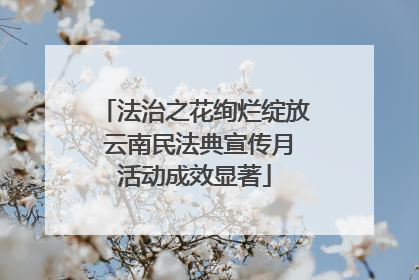 法治之花绚烂绽放 云南民法典宣传月活动成效显著