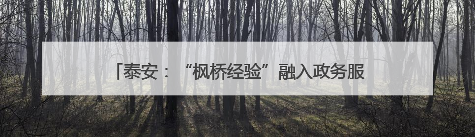 泰安：“枫桥经验”融入政务服务 “泰好办”变身贴心管家