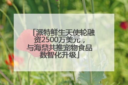 派特鲜生天使轮融资2500万美元，与海鼎共推宠物食品数智化升级