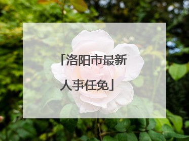 洛阳市最新人事任免