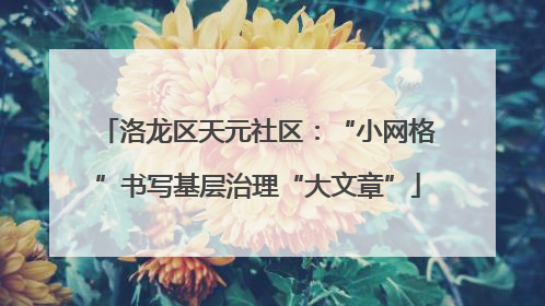 洛龙区天元社区：“小网格”书写基层治理“大文章”