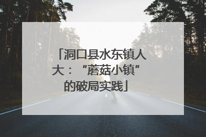 洞口县水东镇人大：“蘑菇小镇”的破局实践