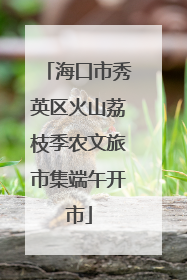 海口市秀英区火山荔枝季农文旅市集端午开市