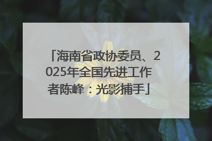 海南省政协委员、2025年全国先进工作者陈峰：光影捕手