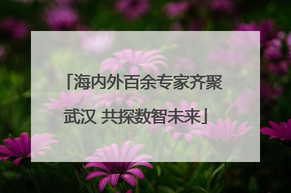 海内外百余专家齐聚武汉 共探数智未来