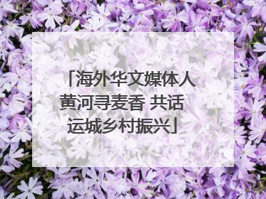 海外华文媒体人黄河寻麦香 共话运城乡村振兴