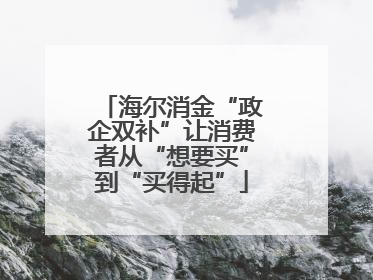 海尔消金“政企双补”让消费者从“想要买”到“买得起”