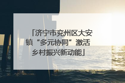 济宁市兖州区大安镇“多元协同”激活乡村振兴新动能