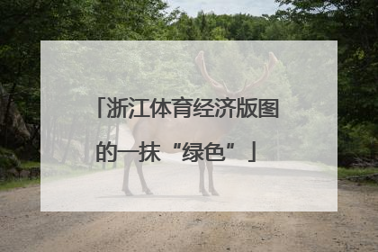 浙江体育经济版图的一抹“绿色”
