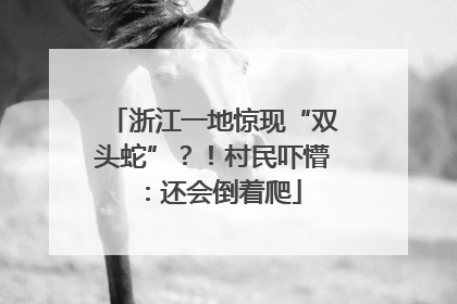 浙江一地惊现“双头蛇”？！村民吓懵：还会倒着爬