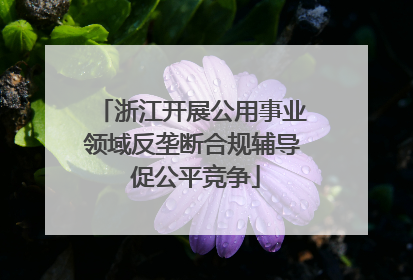 浙江开展公用事业领域反垄断合规辅导 促公平竞争