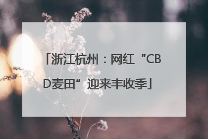 浙江杭州：网红“CBD麦田”迎来丰收季