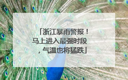 浙江暴雨警报！马上进入最强时段，气温也将猛跌