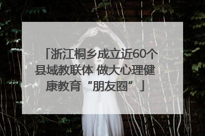 浙江桐乡成立近60个县域教联体 做大心理健康教育“朋友圈”