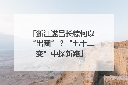 浙江遂昌长粽何以“出圈”？“七十二变”中探新路
