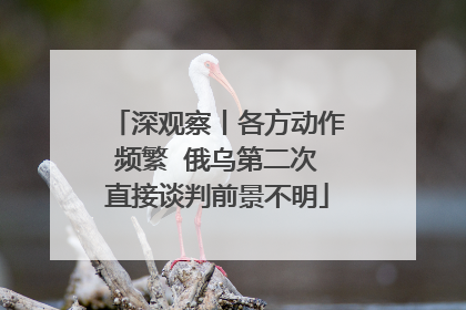 深观察丨各方动作频繁  俄乌第二次直接谈判前景不明