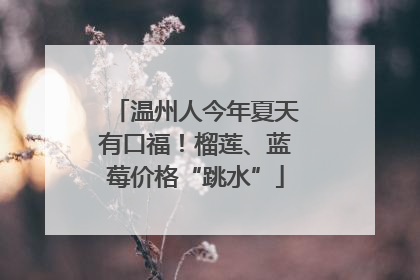 温州人今年夏天有口福！榴莲、蓝莓价格“跳水”