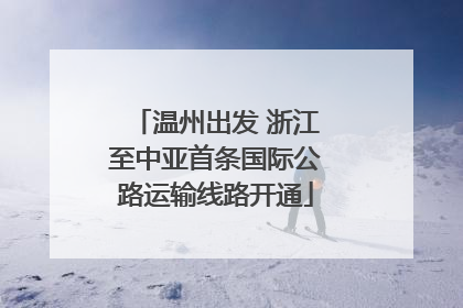 温州出发 浙江至中亚首条国际公路运输线路开通