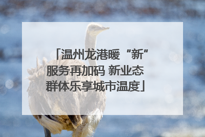 温州龙港暖“新”服务再加码 新业态群体乐享城市温度