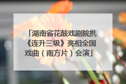 湖南省花鼓戏剧院携《连升三级》亮相全国戏曲（南方片）会演