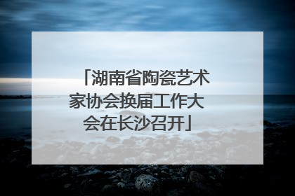 湖南省陶瓷艺术家协会换届工作大会在长沙召开