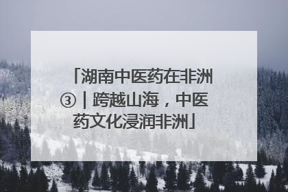 湖南中医药在非洲③｜跨越山海，中医药文化浸润非洲