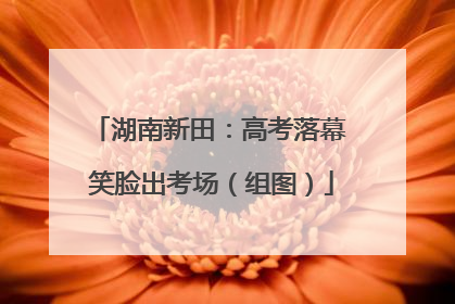湖南新田：高考落幕 笑脸出考场（组图）