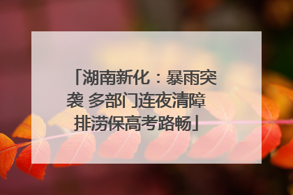湖南新化：暴雨突袭 多部门连夜清障排涝保高考路畅